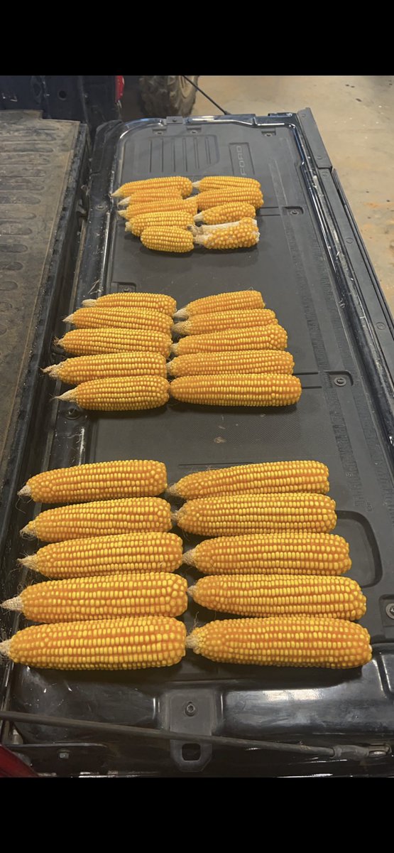 Alex Harrell tweet media