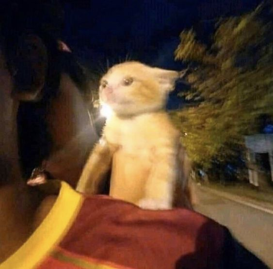 ALL THE THINGS SHE SAID
ALL THE THINGS SHE SAID
RUNNING THROUGH MY HEAD
RUNNING THROUGH MY HEAD