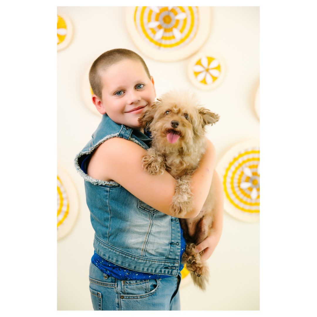 Loving this shot from our family summer mini sessions a few weeks back!

#petportraits #dog #dogsofig #petphotographer #sacramentophotographer