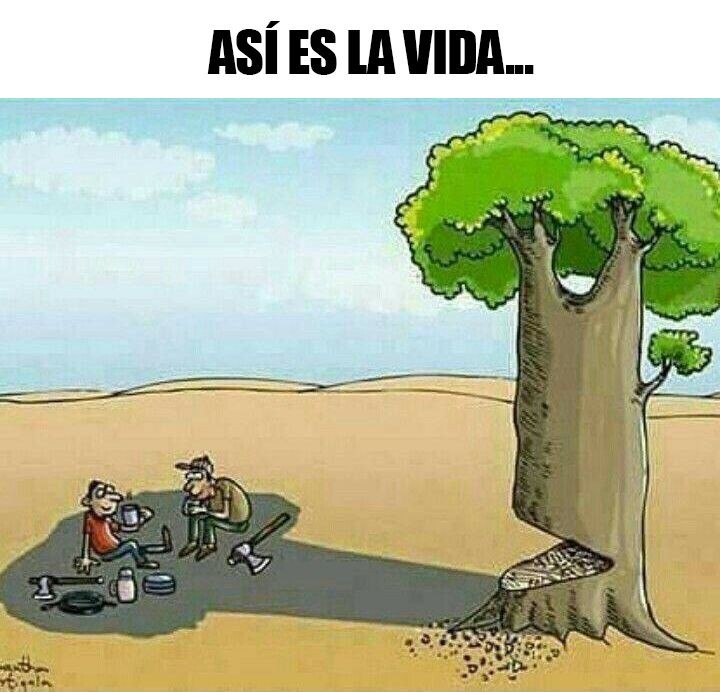 AgusVazquez014's tweet photo. Que linda es la gente hipócrita, cuidan las cosas para lo que les convienen.
Algún día esto les va a dejar de funcionar🤗

#ODM2023 #MedioAmbiente #CuidemosTodo🌱 https://t.co/8KT2fRYzZ2