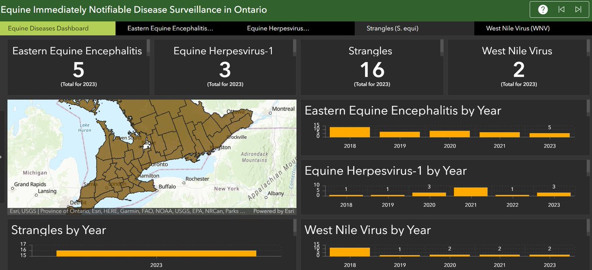 CahssCanada's tweet photo. Did you know there's an #Immediately #Notifiable #Equine #Disease #dashboard created by @OMAFRA @OntAnHealthNet? https://t.co/Ry4GykAfEo Check out this great resource today! 🐴🐴 https://t.co/GlTStA4Qcy
