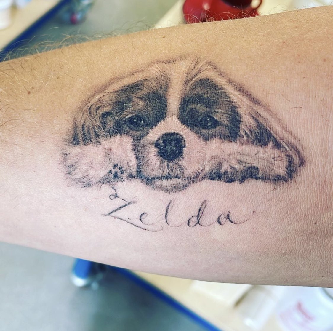 GoodGirlZelda's tweet photo. Another amazing Zelda tattoo! This time, for Seth! ♥️
@IamLaurenMiller @SethRogen @WeAreHFC @PointGrey @HousePlantCo #ZeldaFace #DogsofHFC #DogsofPointGrey #DogsofHousePlant https://t.co/bQUyxFWMo4