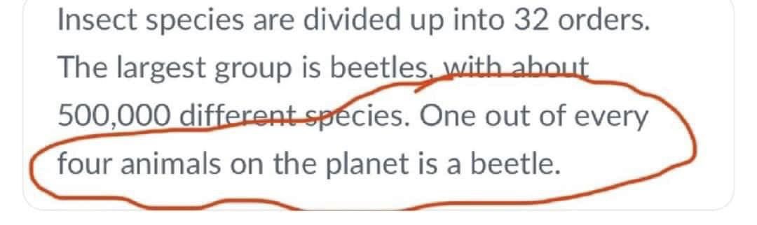 Think about your 3 best friends. If none of them are beetles You are the beetle