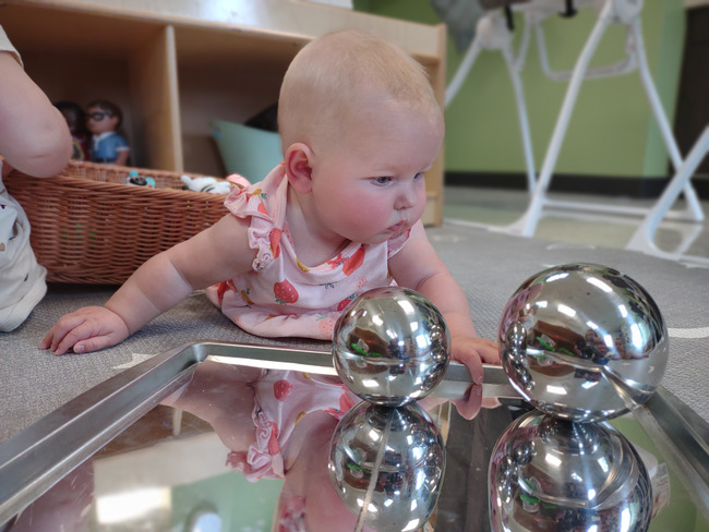 Kim Case tweet media