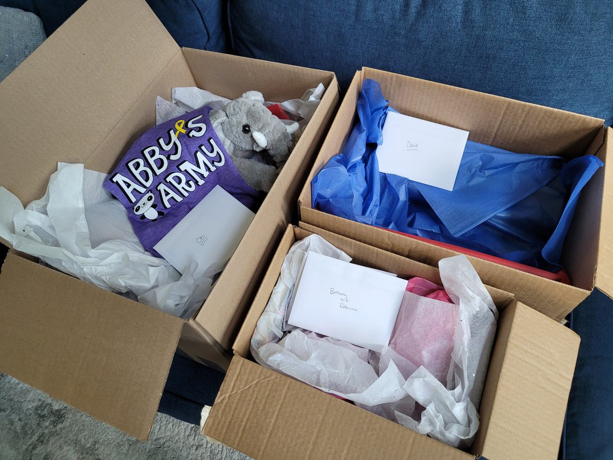 AbbysArmyNC's tweet photo. Catching up on sending out care packages to some very deserving kids and their siblings. Obi (2yo) &amp; David (13 yo) are both currently battling leukemia (ALL). Hoping these boxes bring some smiles!💜🎗
#noonefightsalone
#childhoodcancerawareness 
#bethegoodintheworld https://t.co/vGDMXtyQbw