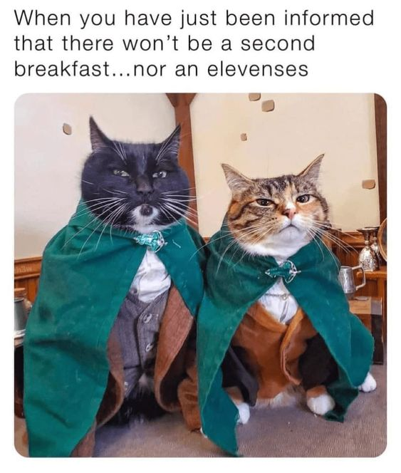 WholesomeMeme's tweet photo. https://t.co/O6rmV4tz4v