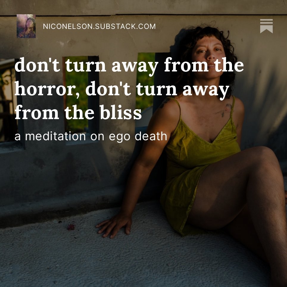 Nico Nelson tweet media