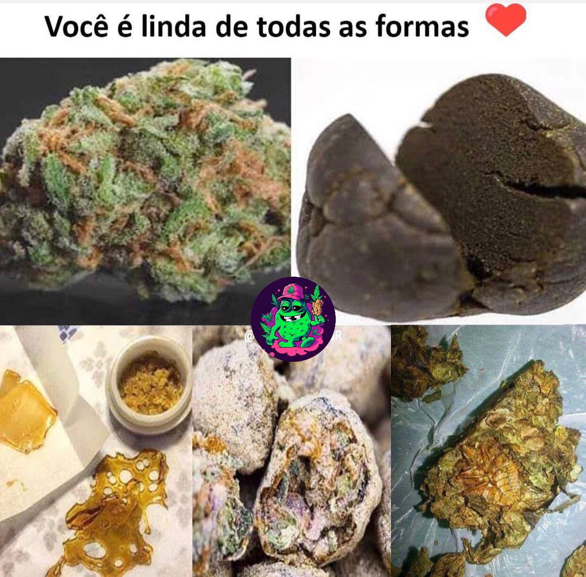 Cannabis Brasil (@canabisbrasil) on Twitter photo 