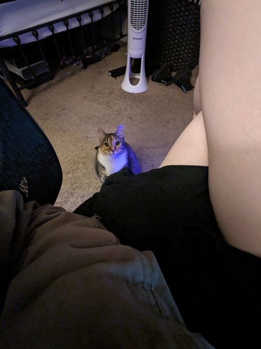 she wants in my lap so bad but im sitting like a fucked up freak https://t.co/U7fxtdtFqW