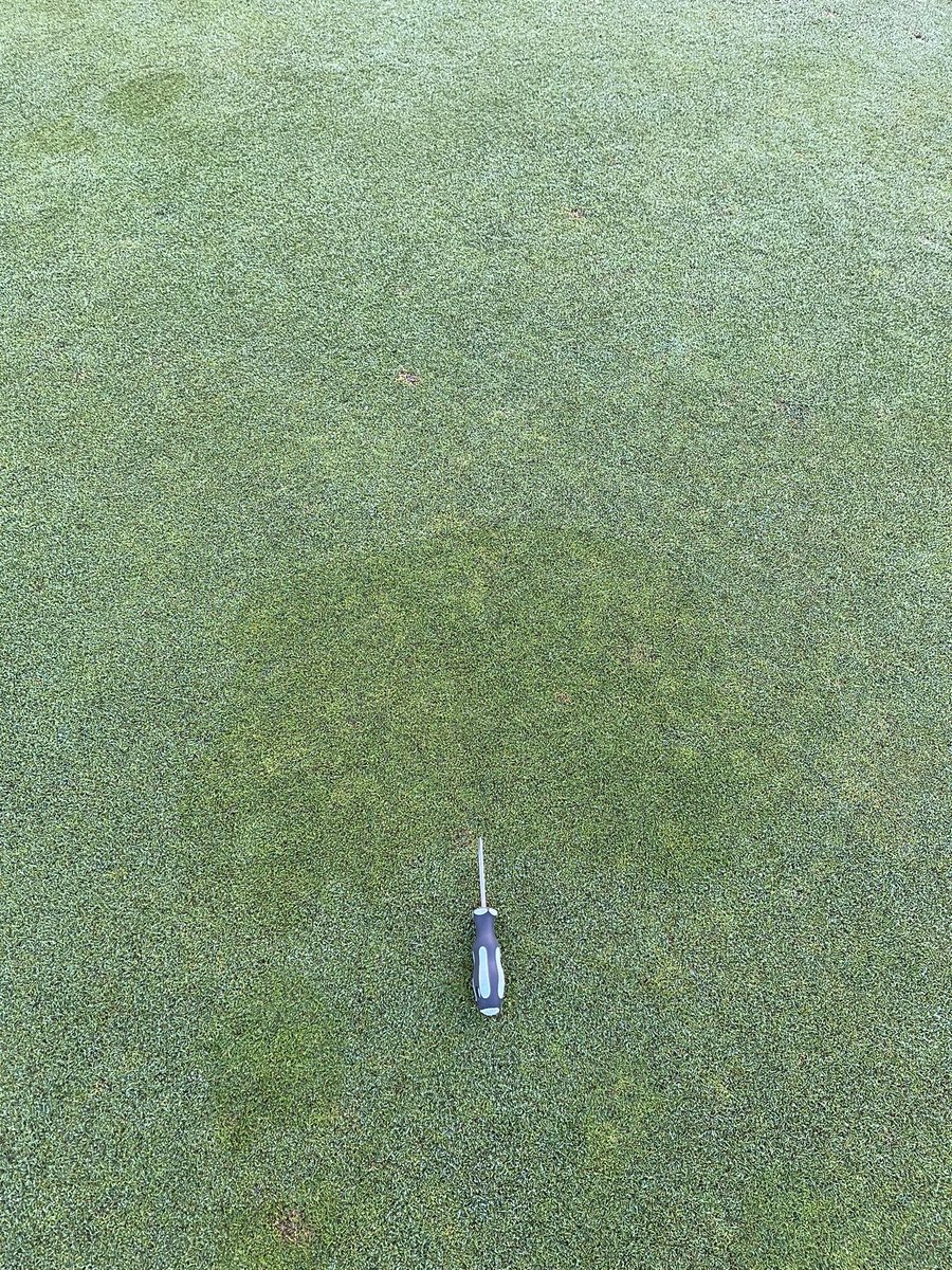 Darren McLaughlan tweet media