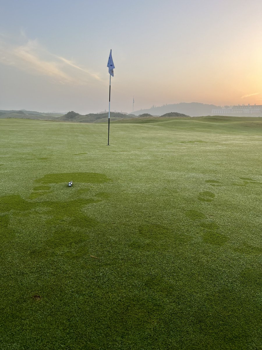 Darren McLaughlan tweet media