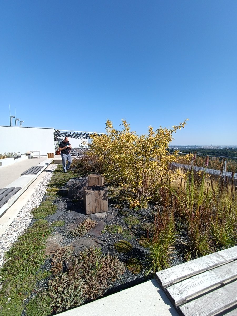 Testing a new brand of plasticine at the green roofs of <a href="/fzpczu/">FŽP ČZU v Praze</a> with Michal. Next week the whole team will meet again at the GfÖ annual meeting in Leipzig