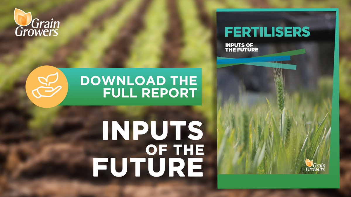 GrainGrowers has launched the Inputs of the Future series to equip decision makers with the facts/possibilities for farm inputs🌱

The 1st report covers the BIG 3 #fertilisers: nitrogen, phosphorus + potassium.

➡️Read here: bit.ly/44Nhkwu @Fertilizer56655 @jupiterionics