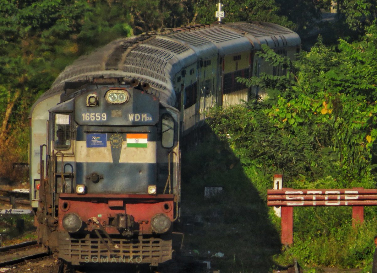 Assam - Arunachal Connection. 🔗
.
New Guwahati WDM 3A 16559 with 15907 Tinsukia Jn - Naharlagun InterCity Express arriving Dibrugarh.
Date :- 15/11/22.
.
@RailMinIndia @RailNf @drm_tsk @Ananth_IRAS #NorthEast #IncredibleIndia