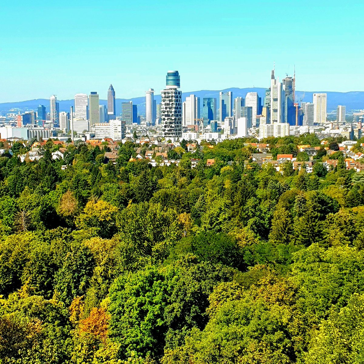 Olaf Cunitz tweet media