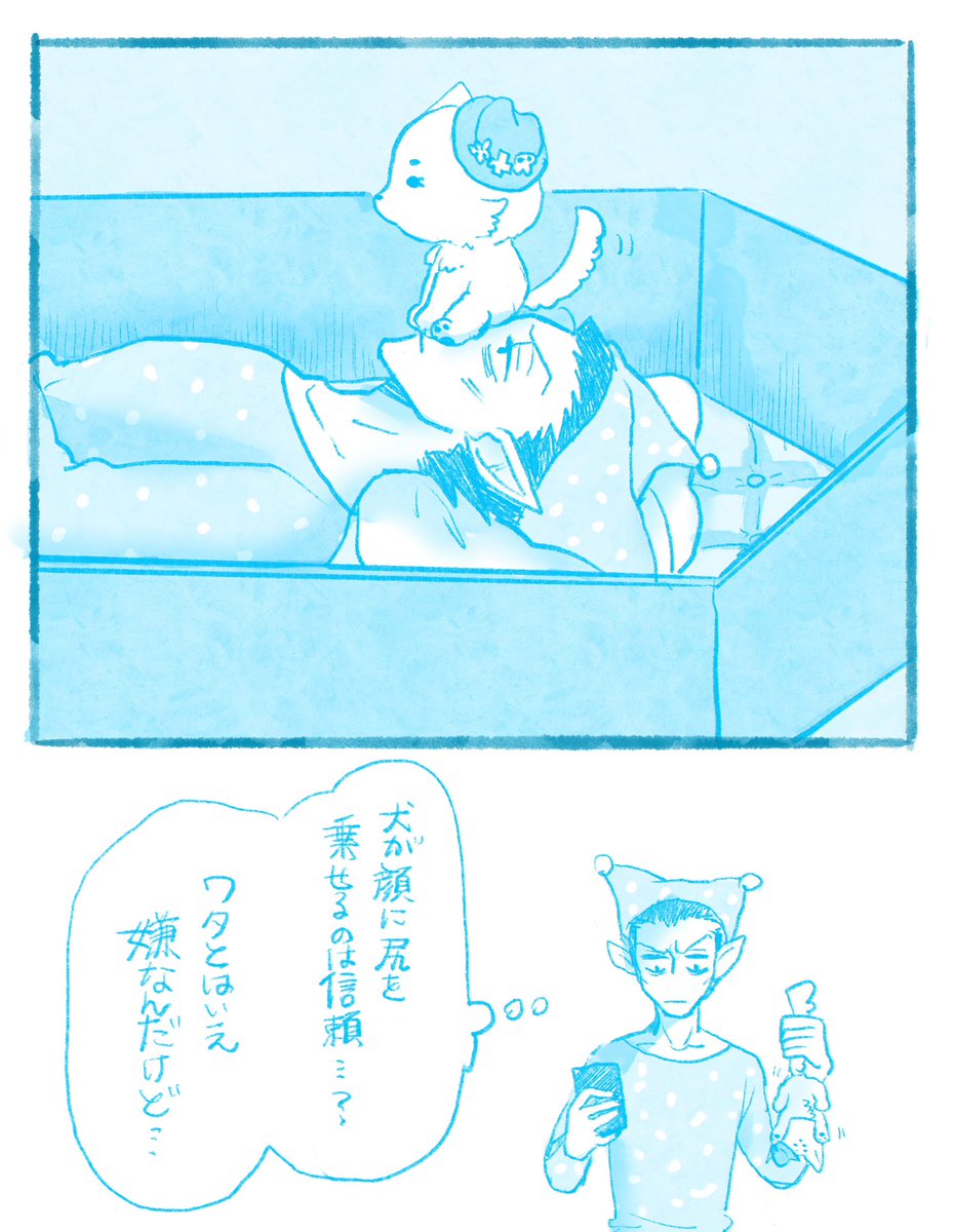 mizukitouka94's tweet photo. ﾓﾌﾛﾁｬﾝ 尻 https://t.co/wLNL6DUDqE