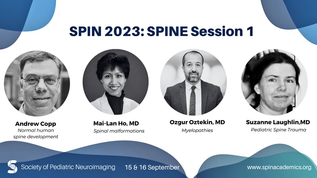 spinacademics's tweet image. 📢🌟#Spin2023 is thrilled to showcase the Speaker spotlight on essentials of Spine imaging.
Don&apos;t miss out on this Spine-tactular opportunity to enhance your knowledge in all aspects related to #pedineurorad @ Spin2023 -Affordable, Amazing and Accessible
#Spineimaging #Neurorad