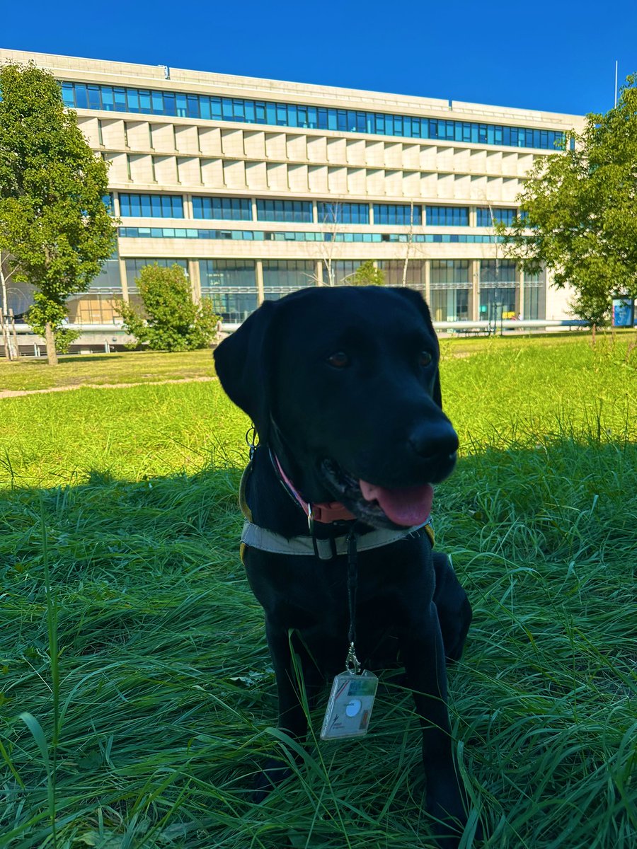 Mrs Kerg tweet media