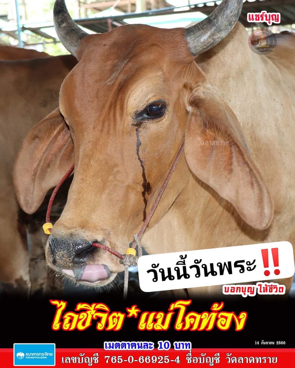desirposter1565 tweet picture
