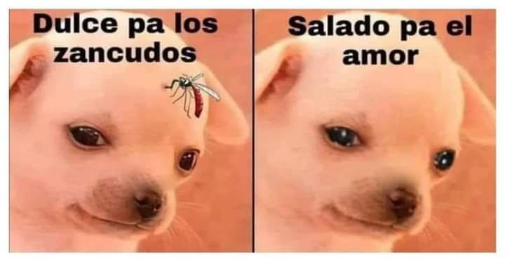 Jean Pierre (@jsalmasi) on Twitter photo 