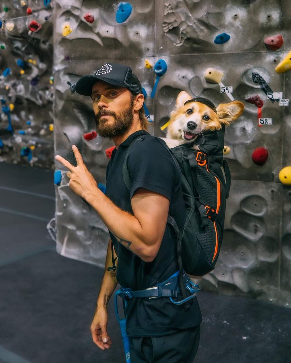 AshleyESanders's tweet photo. I can’t even describe this… first off how damn good does Jared look, really. Smoke show 🔥💥 And then he has to bring a sweet companion into the mix with Maxine. Too too cute. Beautiful dog. I wish I could just hug them both. #JaredLeto #TimeFliesWhenYourHavingFun #Adventure https://t.co/GSINSFBv93