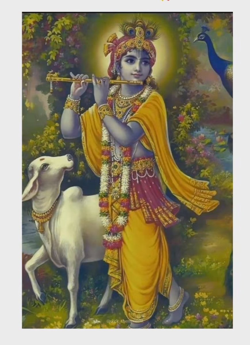 जय श्रीकृष्ण 🙏🏻🌼
.
.
.
Good morning 🌄