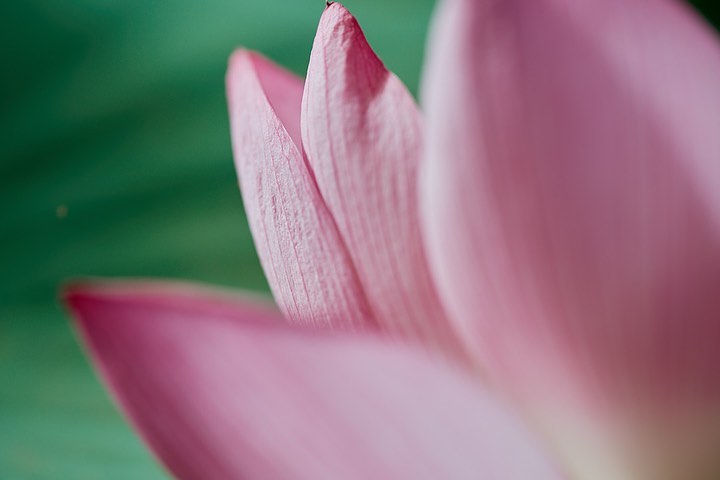 onescene_com's tweet photo. <注目の新製品>

SONY FE70-200mm F4 Macro G OSS II
Eマウントレンズ10年の技術の蓄積を詰め込んだレンズ

https://t.co/HayzqAbwhg
special thanks https://t.co/MdDpjHb8sJ

#sel70200g2 #写真好きな人と繋がりたい https://t.co/Kest24lZn5