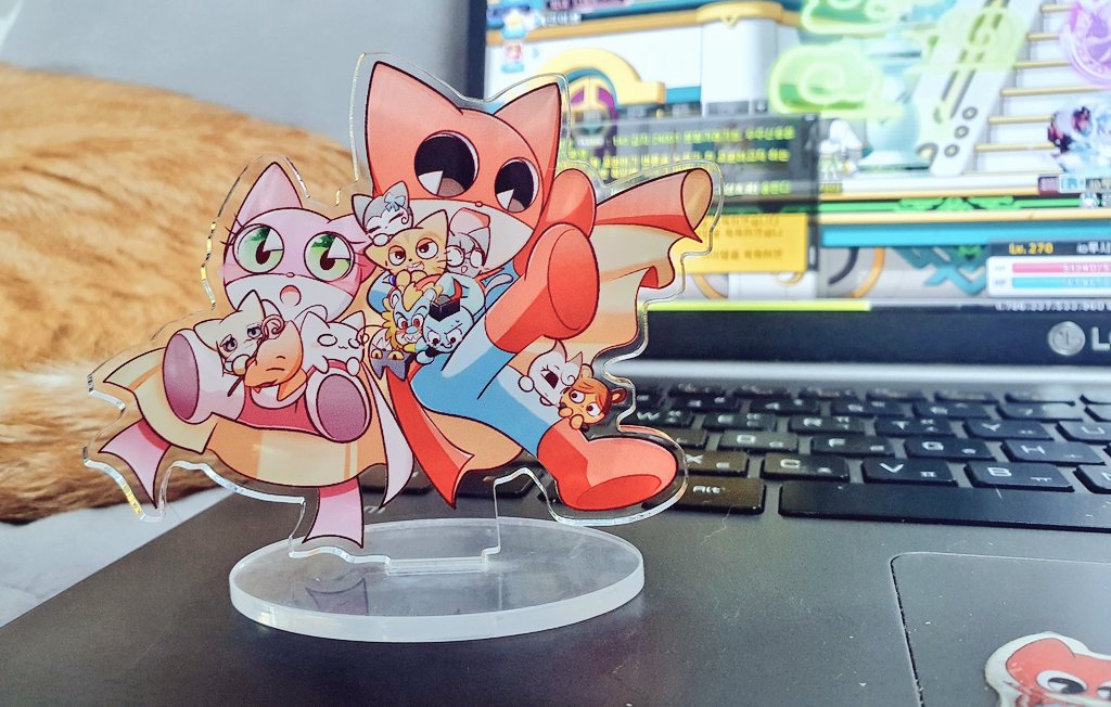 かめん Enthusiast😼 (@nyagokawaii) / Posts / X