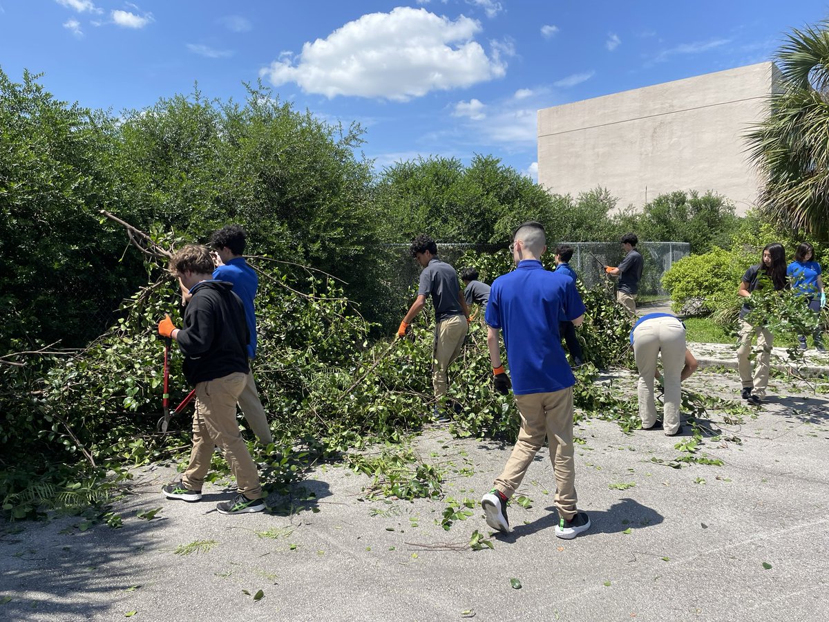 andrewkearns64's tweet photo. #Botany students at @josemartimast trim overgrown cocoplum to reveal our lone willow bustic (Sideroxylon salicifolium) in our #nativearboretum! ππΏ#mast2324 @FairchildGarden @fl_native_plant @DadeFNPS @MDCPSNorth https://t.co/BIqpWtO8ld