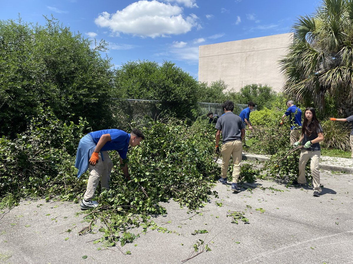 andrewkearns64's tweet photo. #Botany students at @josemartimast trim overgrown cocoplum to reveal our lone willow bustic (Sideroxylon salicifolium) in our #nativearboretum! ππΏ#mast2324 @FairchildGarden @fl_native_plant @DadeFNPS @MDCPSNorth https://t.co/BIqpWtO8ld