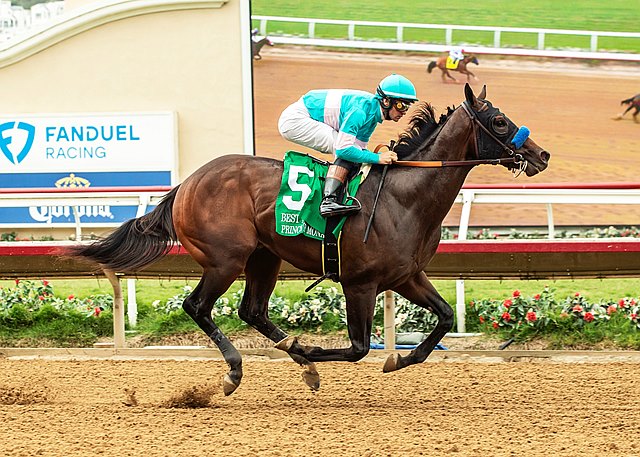BloodHorse tweet media