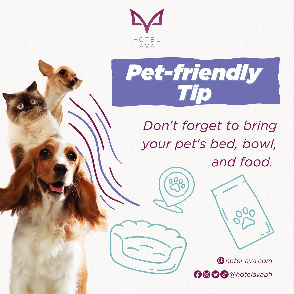 Here’s a reminder for a paw-some staycation! 😊🐾 

#hotelava #petfriendlyhotel