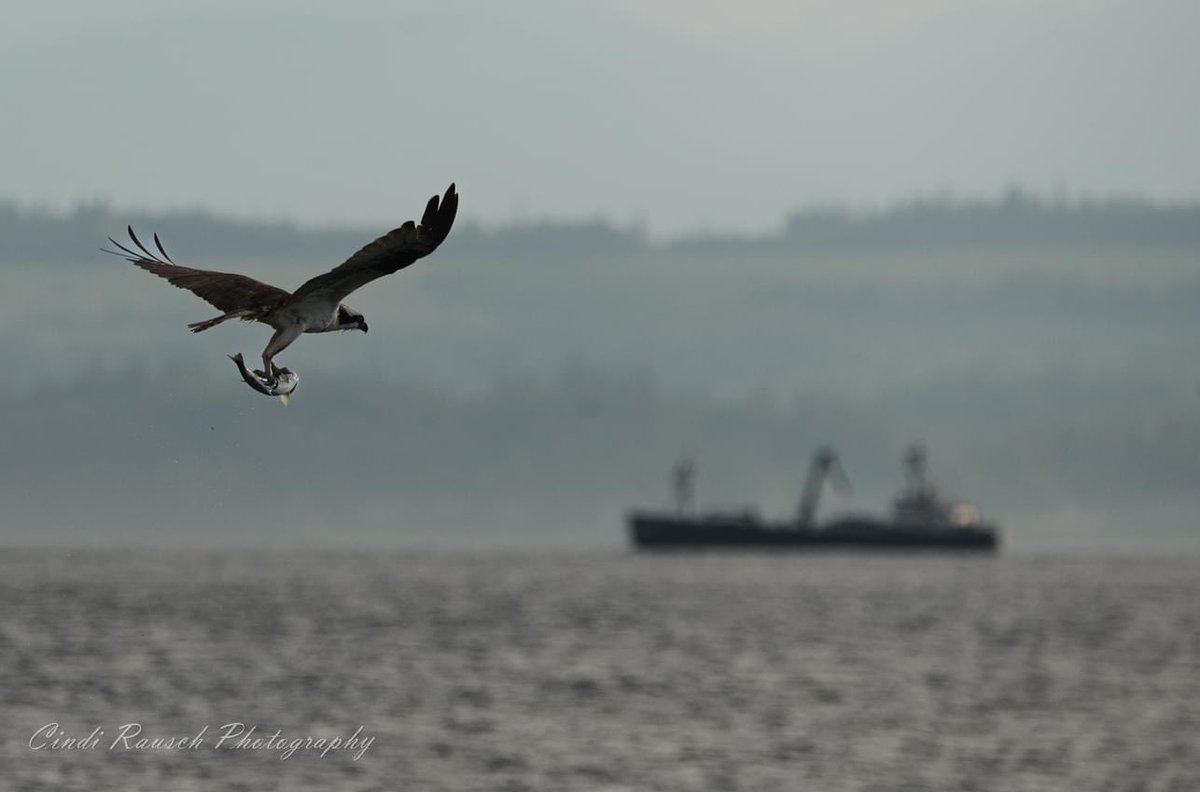 Capt Keith Colburn tweet media