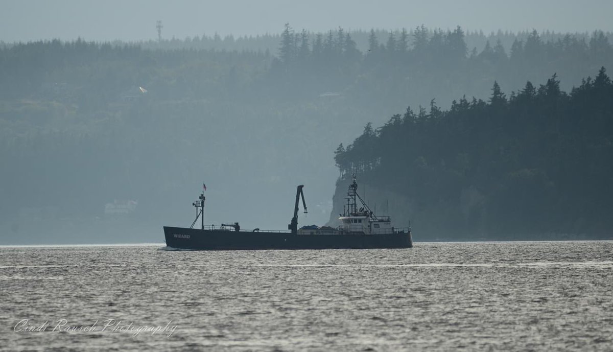 The old girl came down Admiralty Inlet today to complete the last leg of the trip from Cordova, AK to Seattle, WA. Another successful tendering season is in the books. A friend who lives on Whidbey Island caught us coming home. 
#Wizard #tendering #salmon #DeadliestCatch