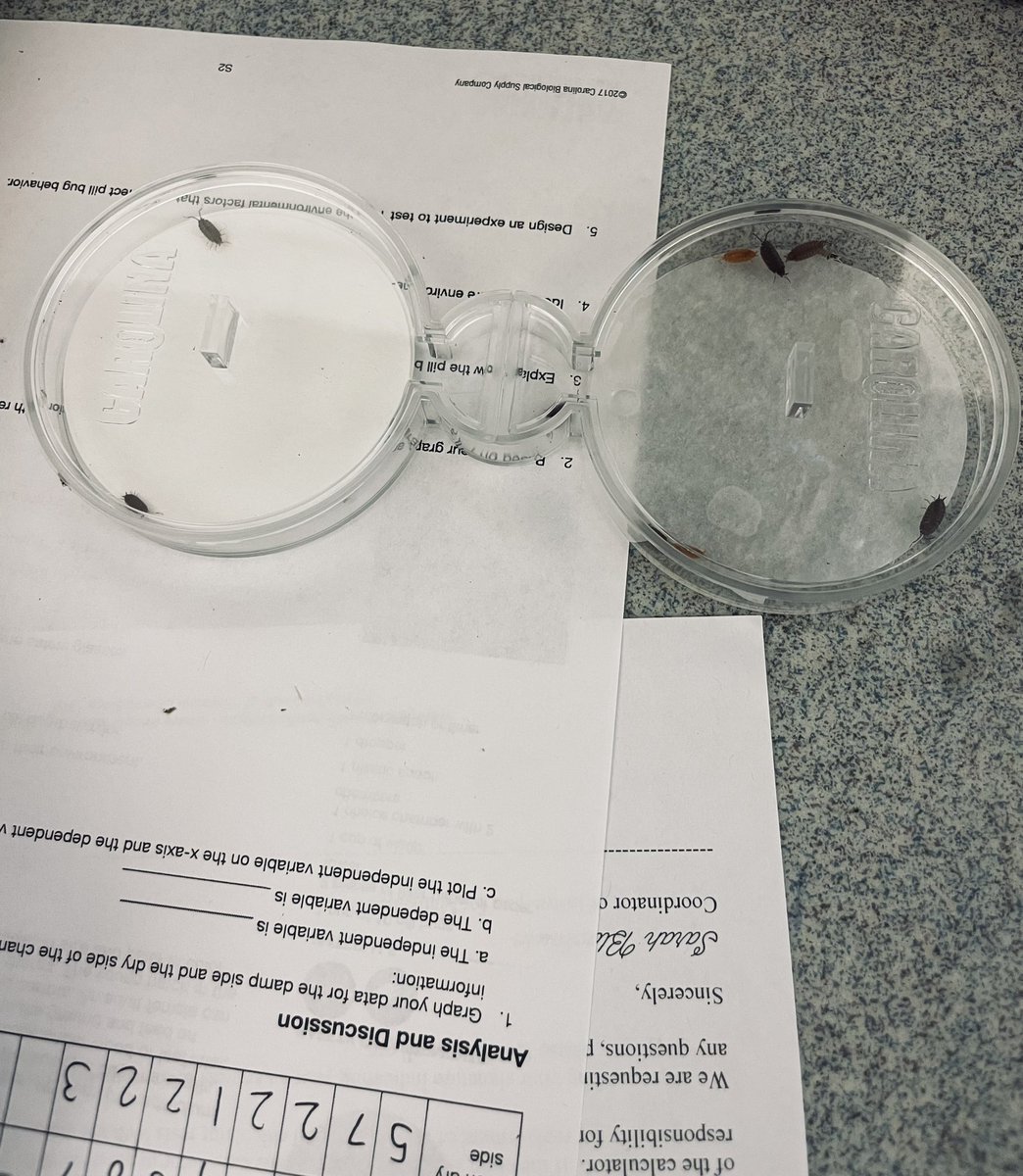 AP Bio students perform their 1st lab🥼 Do environmental conditions affect animal behavior? 🪳<a href="/PHSWarriors1957/">PHS Warriors</a>