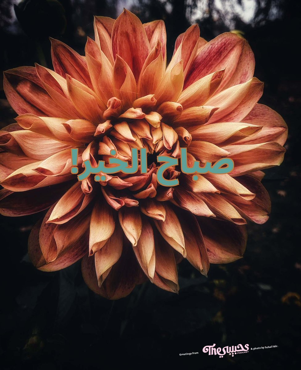 I wish you the most soothing Friday!