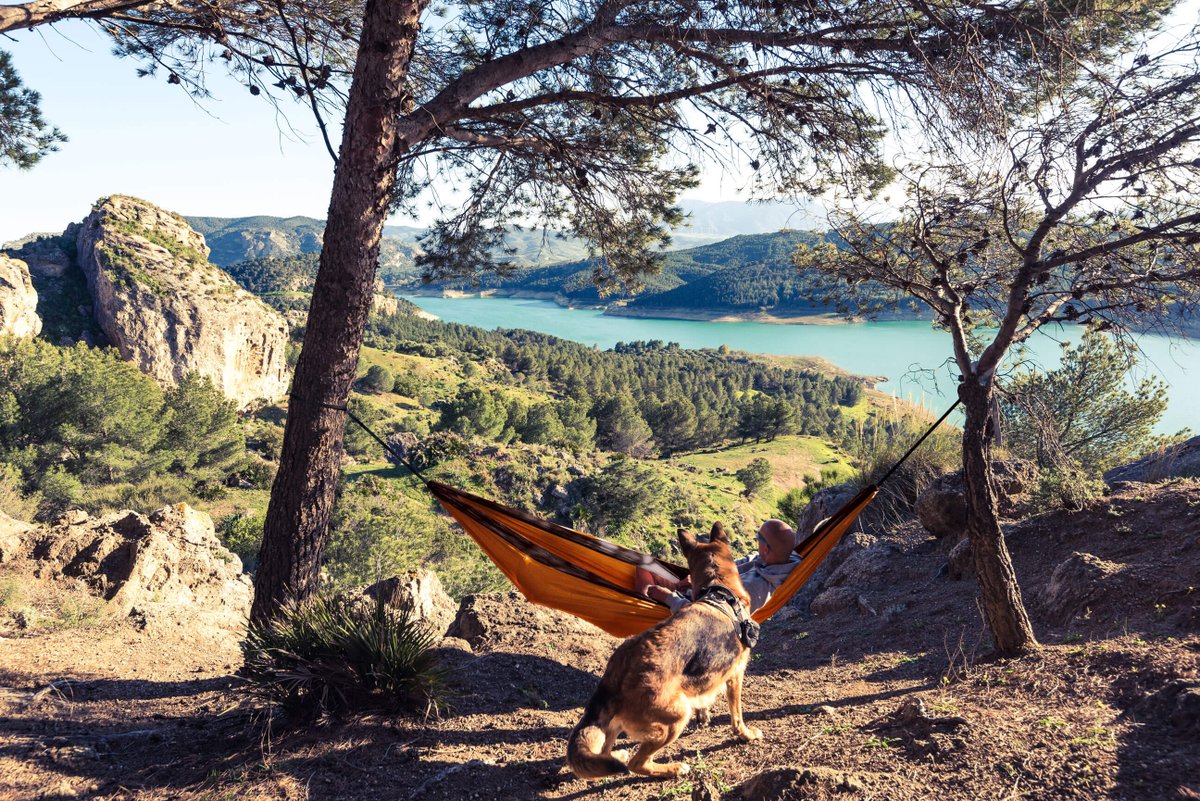 tropilex's tweet photo. Lay back and chill out💖
Check out our Travel Hammock Outdoor Pluto!
Order online at https://t.co/b9hpGg2oPJ 🌴 Fast shipping &amp; free return! ☀️
#tropilex #relax #hammock #hangmat #hängematte #hamac #amaca #hamaca #hængekøje #hängmatta #hamak 🏖️ https://t.co/48B6lzyiD9