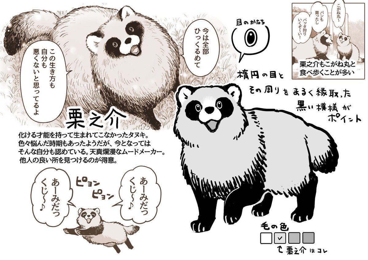 タヌキ紹介7【 栗之介 】
ポイントがシンプルでベタが少ないところが描きやすいのです。しかし目の形を調整するのが意外とむずかしいです。 
