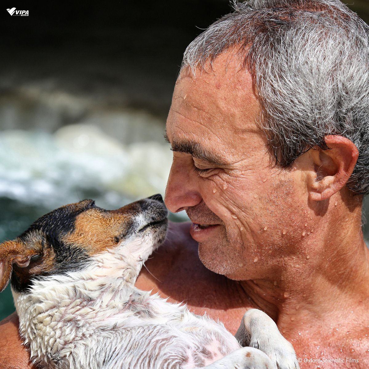 VIPAdotMe's tweet image. 🐶วันของเจ้าสี่ขา !  ทุกวันอาทิตย์ที่สองของเดือนกันยายนเป็น #วันกอดสุนัขแห่งชาติ ในปีนี้ตรงกับวันที่ 10 กันยายน 
วันนี้อย่าลืมกอดแสดงความรักน้อง ๆ ที่บ้านกันนะคะ🤍

รับชม #SecretLifeofDogs #มหัศจรรย์เพื่อนซี้สี่ขา ทาง VIPA.me  
#VIPAdotme #NationalHugYourHoundDay