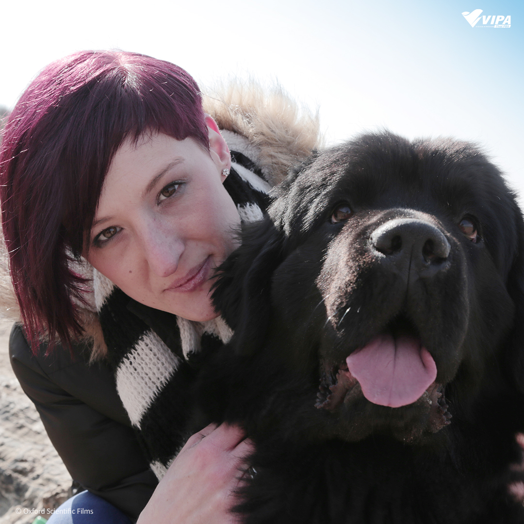 VIPAdotMe's tweet image. 🐶วันของเจ้าสี่ขา !  ทุกวันอาทิตย์ที่สองของเดือนกันยายนเป็น #วันกอดสุนัขแห่งชาติ ในปีนี้ตรงกับวันที่ 10 กันยายน 
วันนี้อย่าลืมกอดแสดงความรักน้อง ๆ ที่บ้านกันนะคะ🤍

รับชม #SecretLifeofDogs #มหัศจรรย์เพื่อนซี้สี่ขา ทาง VIPA.me  
#VIPAdotme #NationalHugYourHoundDay