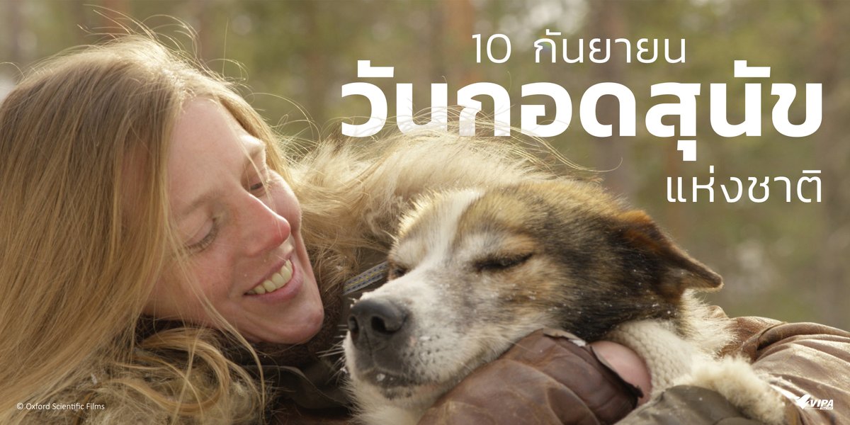 VIPAdotMe's tweet image. 🐶วันของเจ้าสี่ขา !  ทุกวันอาทิตย์ที่สองของเดือนกันยายนเป็น #วันกอดสุนัขแห่งชาติ ในปีนี้ตรงกับวันที่ 10 กันยายน 
วันนี้อย่าลืมกอดแสดงความรักน้อง ๆ ที่บ้านกันนะคะ🤍

รับชม #SecretLifeofDogs #มหัศจรรย์เพื่อนซี้สี่ขา ทาง VIPA.me  
#VIPAdotme #NationalHugYourHoundDay