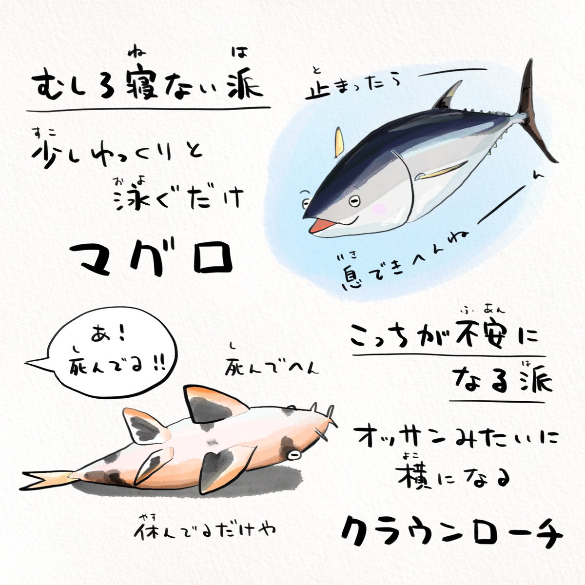 今日は休養の日。台風来てるのに休養できへんやんけと思ったらアナタも、さかなたちのクセすごな休み方を参考にしてください