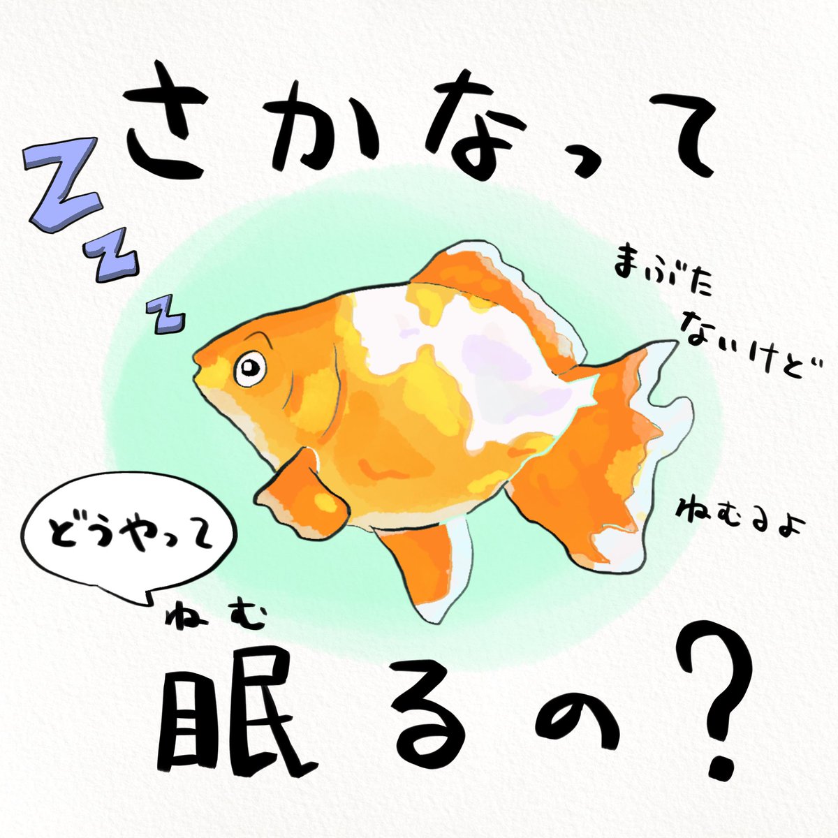 今日は休養の日。台風来てるのに休養できへんやんけと思ったらアナタも、さかなたちのクセすごな休み方を参考にしてください