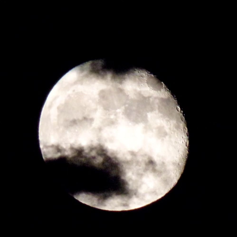 KODAKPIXPRO's tweet photo. Spooky Season is going to be here before you know it! π»
.
.
.
.
.
.
πΈ Credit: IG User @nat_bphotos
#moon #moonlight #love #night #photography #nature #luna #sky #art #stars #fullmoon #kodak #kodakpixpro #pixpro #az421 #space #nasa #moonphotography #instagood #nightsky https://t.co/9NoDnLUosj