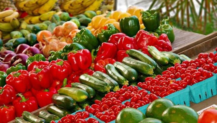 ZimGvt_NDS1's tweet photo. #NDS1

1. #Zim’s horticulture exports to global markets are expected to increase as more smallholder farmers are integrated into mainstream business operations.@MoLAFWRD_Zim
@agribusinesszw @AMAofficial_zim @ZimTradeAlerts @ZimGvt_NDS1 @Zim_Vision2030 @MarichoMedia https://t.co/gF1qyLqxGL