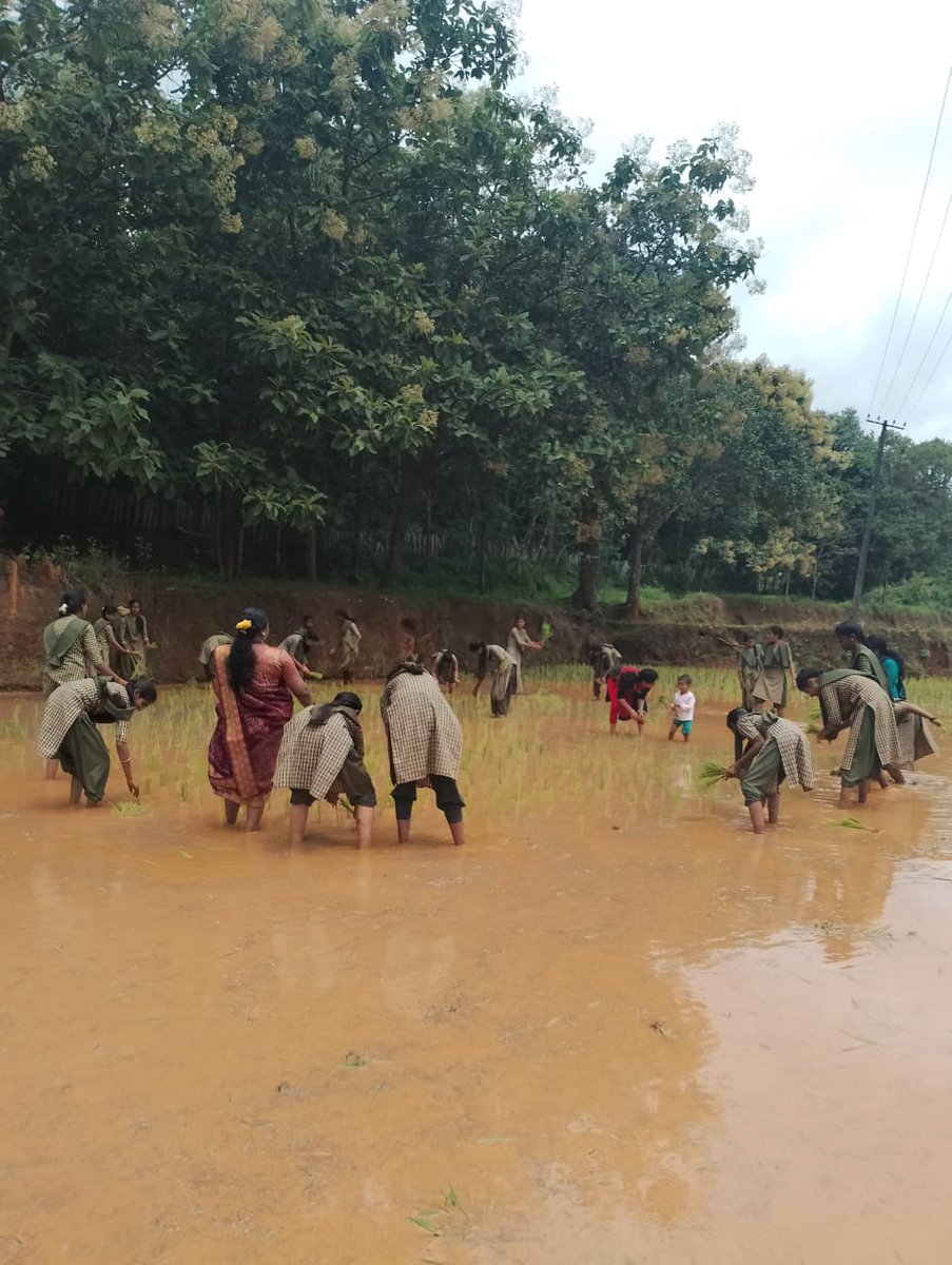ZP_Chikmagalur's tweet photo. ಶೃಂಗೇರಿ ತಾಲೂಕಿನ ಗ್ರಾಮ ಭಾರತ್ ಟ್ರಸ್ಟ್ ಹಾಗೂ ಅಡ್ಡಗದ್ದೆ ಗ್ರಾಮ ಪಂಚಾಯಿತಿಯ ವ್ಯಾಪ್ತಿಯ ತೊರೆಹಡ್ಲು ಪ್ರೌಢಶಾಲೆಯ ಮಕ್ಕಳಿಗೆ ಗದ್ದೆ ಸಾಗುವಳಿ ಮಾಡುವ ಬಗ್ಗೆ ಆಸಕ್ತಿ ಮೂಡಿಸುವ ಸಲುವಾಗಿ ಗದ್ದೆಯಲ್ಲಿ ಪ್ರಾತ್ಯಕ್ಷತೆ ಹಾಗೂ ಸಸಿ ನಾಟಿಕಾರ್ಯಕ್ರಮವನ್ನು ಹಮ್ಮಿಕೊಳ್ಳಲಾಗಿತ್ತು.
@gopal17krishna @PriyankKharge @CommrPR @rdwsd_gok https://t.co/a6m03uPyBq