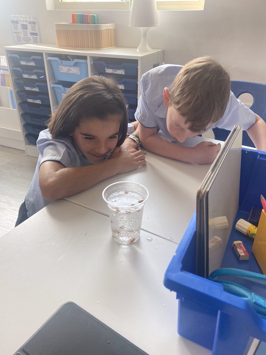 This week in science, we started learning about the properties of solids, liquids and gases by doing a ‘dancing raisin’ experiment! The children loved it! #JESSPriScience