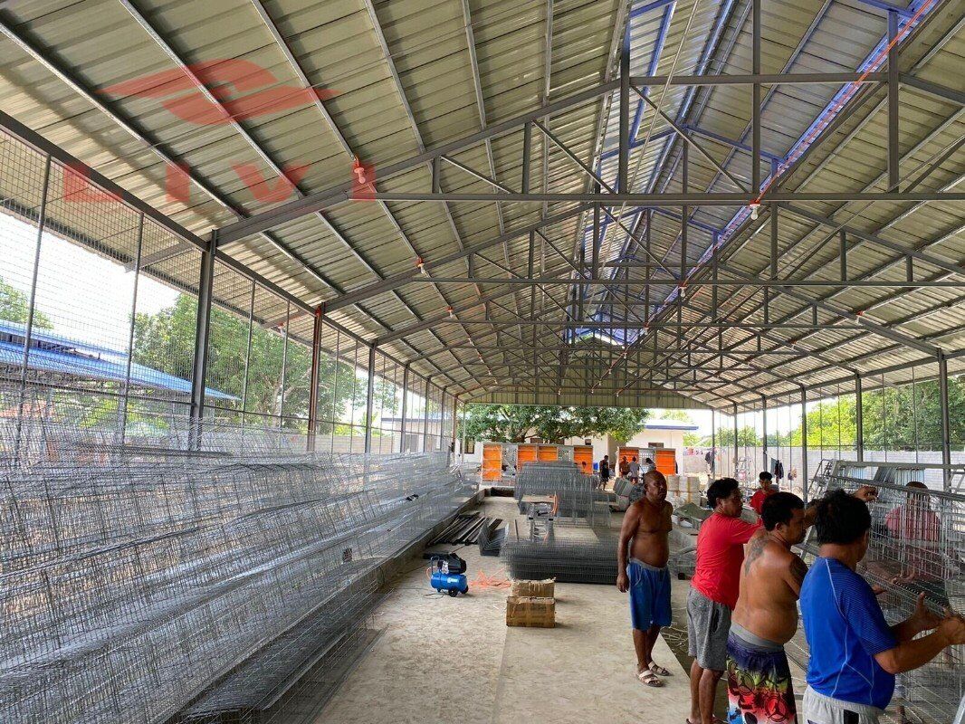 LiviCage's tweet photo. 🐣Tips and guidance on how to effectively use egg cages on a poultry farm:

(1)Temperature Control

(2)Feed Management

(3)Sanitation management

#chickencage #chickenfarm #chickenfarming #batterycage #poultrycage #chicken #layercage #eggbusiness #batterycage #chickenfarm https://t.co/XBOteckJyu