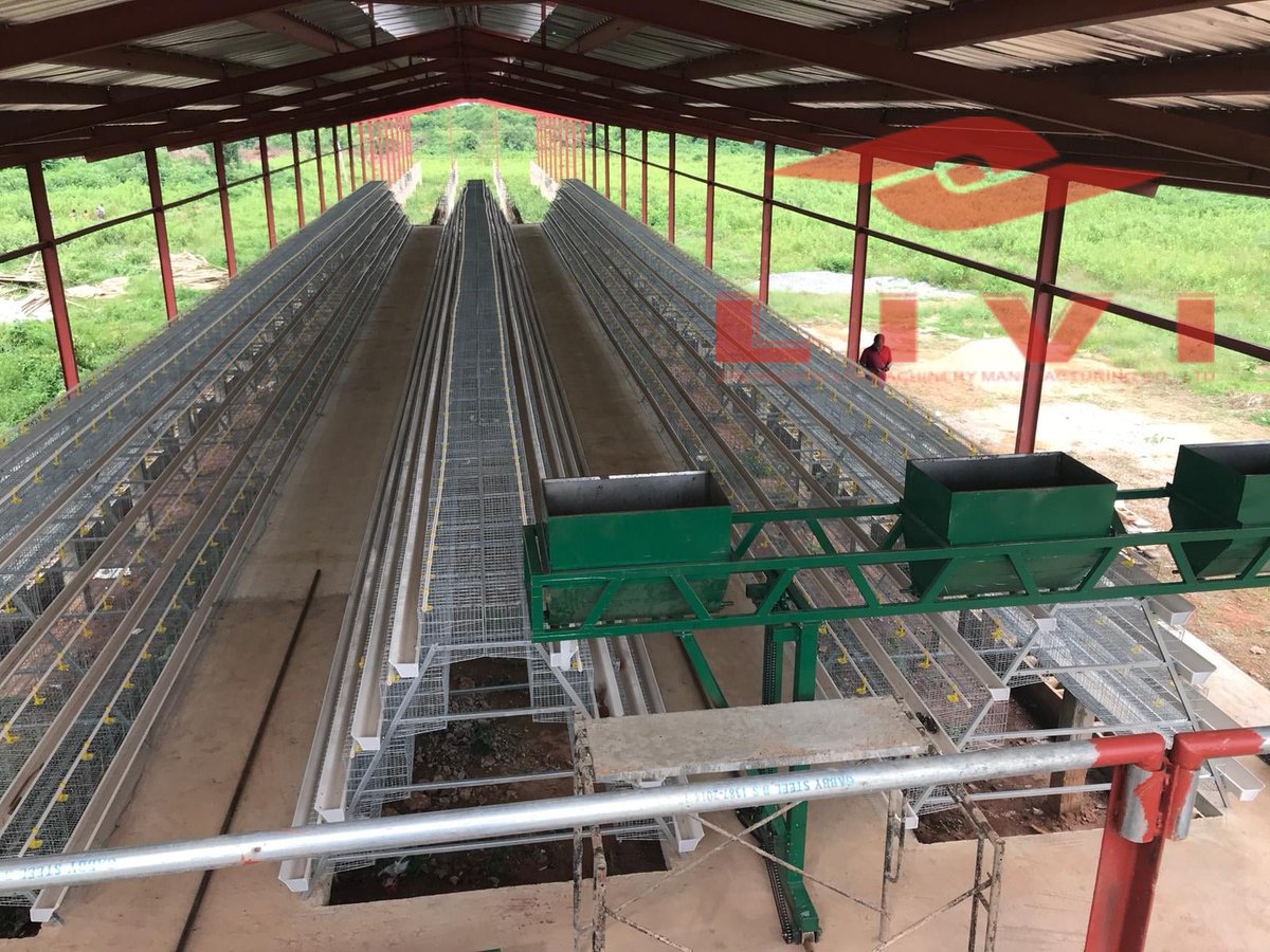 LiviCage's tweet photo. 🐣Tips and guidance on how to effectively use egg cages on a poultry farm:

(1)Temperature Control

(2)Feed Management

(3)Sanitation management

#chickencage #chickenfarm #chickenfarming #batterycage #poultrycage #chicken #layercage #eggbusiness #batterycage #chickenfarm https://t.co/XBOteckJyu