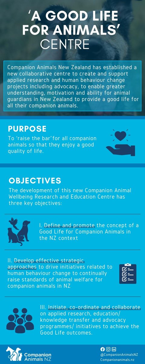 Companion Animals New Zealand tweet media